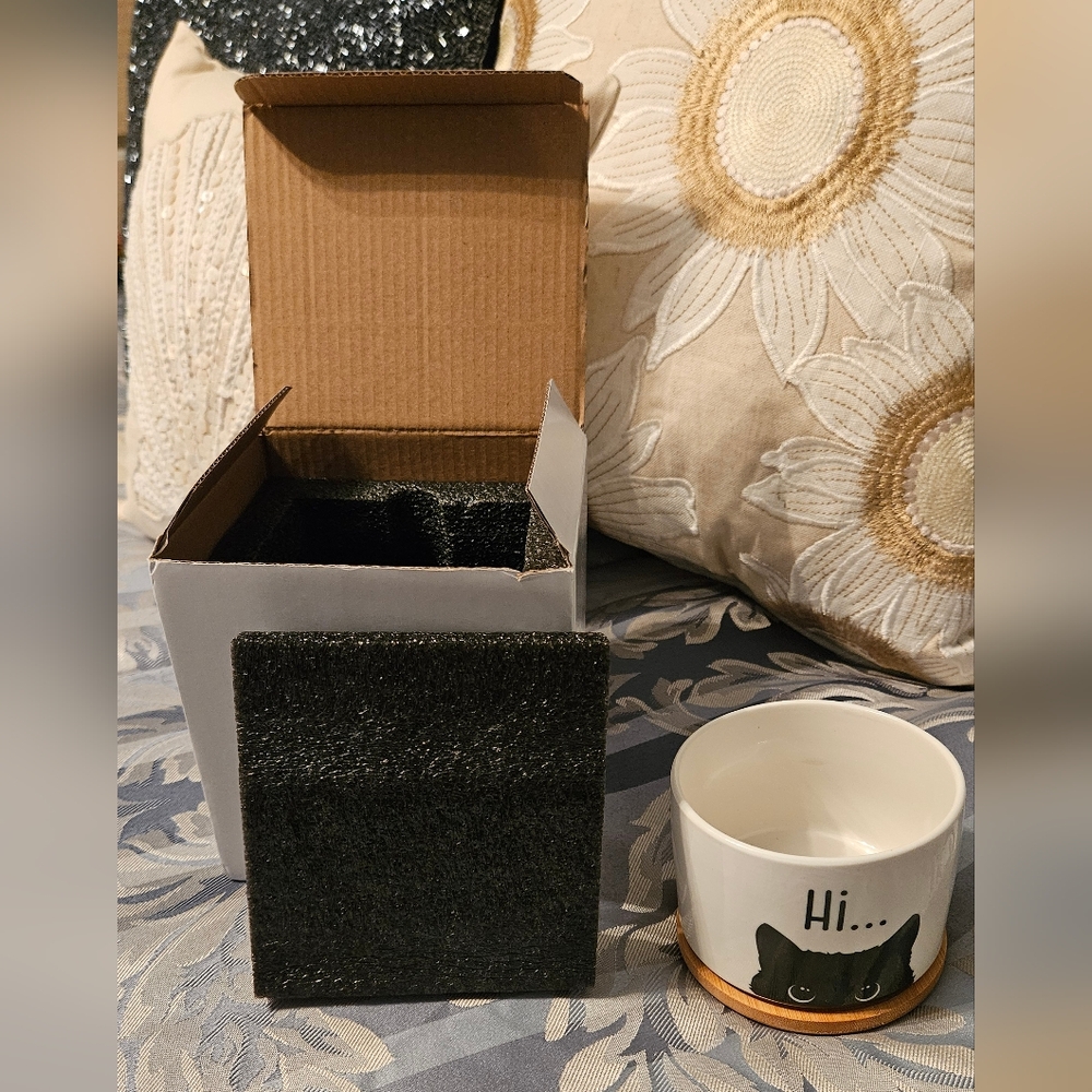 Black Cat Small Flowerpot